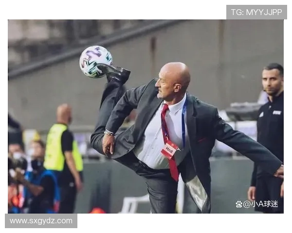 匈牙利国家队魔术师