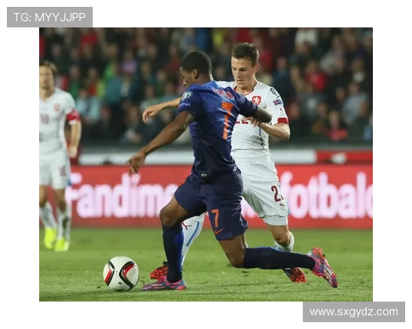 欧洲杯预选赛荷兰