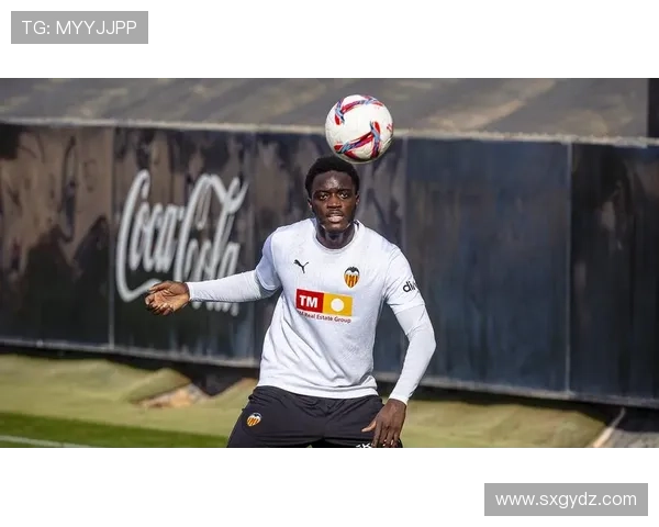 瓦伦西亚重返欧战的关键因素分析，球队竞争力面临直接考验